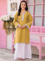 Kurti Plazo Embroided - Image 3