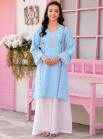 Kurti Plazo Embroided