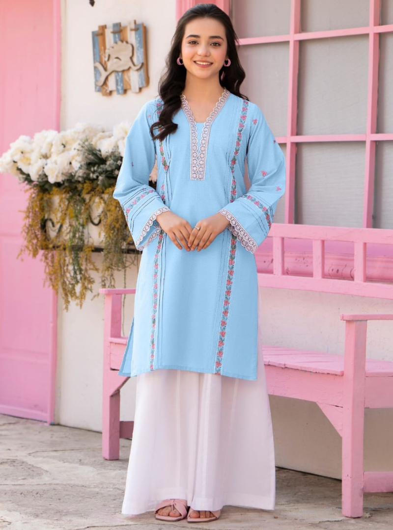 2 Kurti Plazo Embroided - Image 1